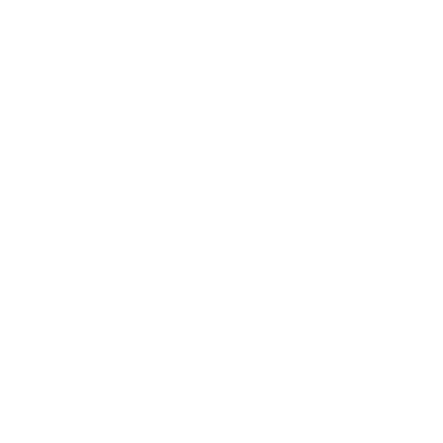 Icon wordpress white